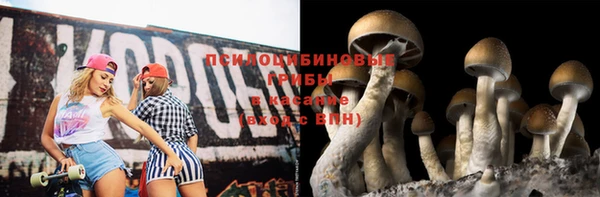 герыч Мегион