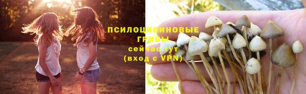 COCAINE Медвежьегорск