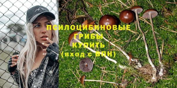 COCAINE Медвежьегорск